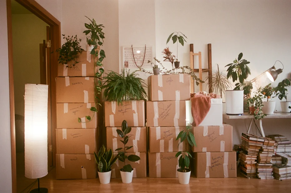 Removalist carrying moving boxes into a new home